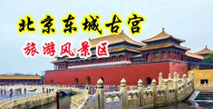 骚屄舔肏欧美视频中国北京-东城古宫旅游风景区